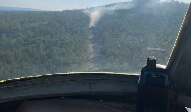 Kastamonu'da çıkan orman yangını kısa sürede söndürüldü