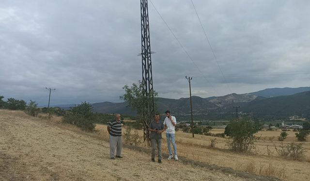 Kastamonu'da kopan elektrik teli anız yangını çıkardı