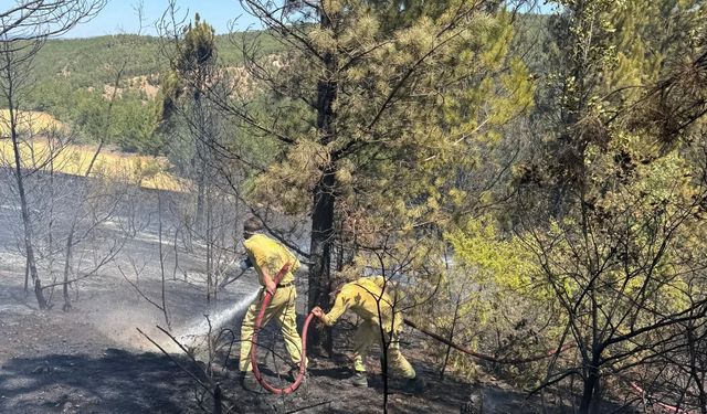 Kastamonu'da orman yangını büyümeden söndürüldü