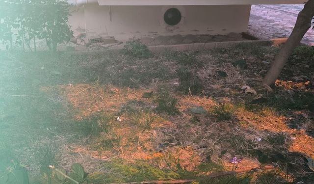 Kedisini yakalamaya çalışırken 5'inci kattan düşüp, yaralandı