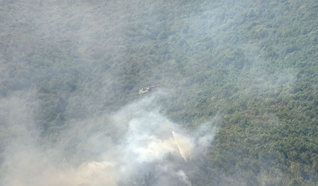 Küre Dağları Milli Parkı'nda orman yangını (2)