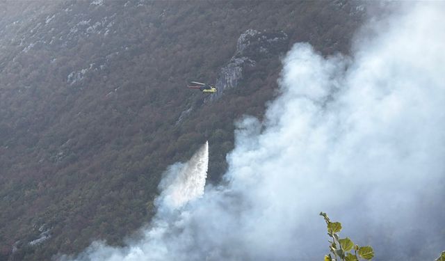 Küre Dağları Milli Parkı'nda orman yangını (4)