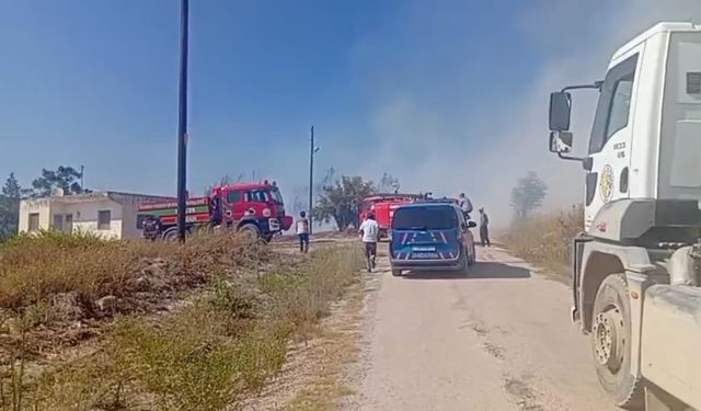 Osmaniye'de anız yangınında alevler makilik alana sıçradı