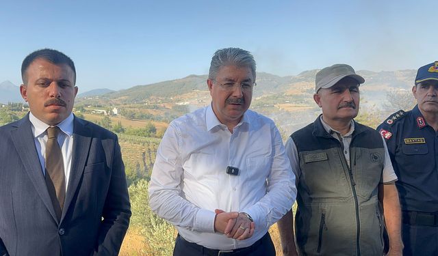 Osmaniye'de orman yangını (2)