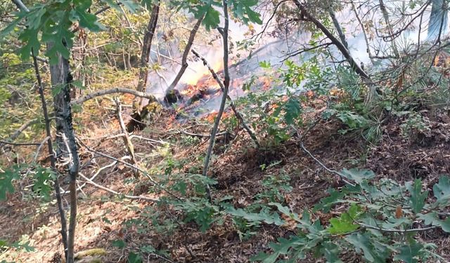 Osmaniye'de orman yangını, büyümeden kontrol altına alındı /Video eklendi