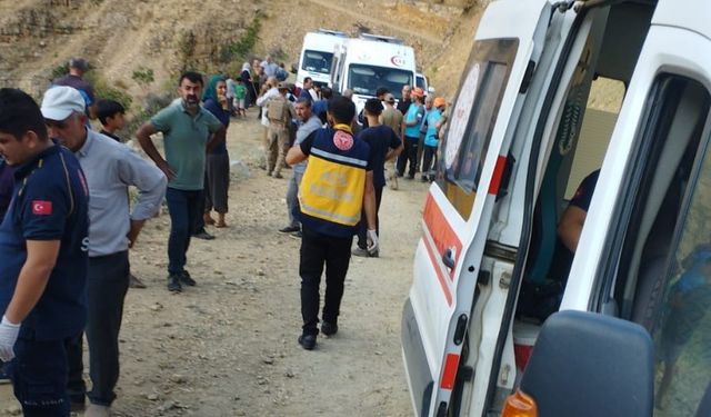 Bingöl'de minibüs şarampole devrildi: 7 yaralı
