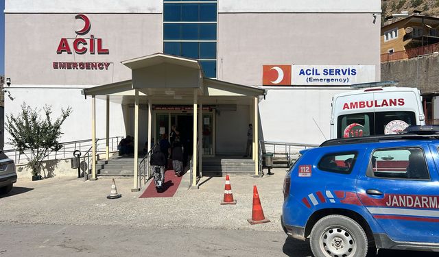 Ceviz toplamak için çıktığı ağaçtan düşüp öldü