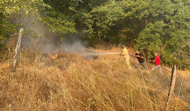 Düzce'de orman yangını (3)