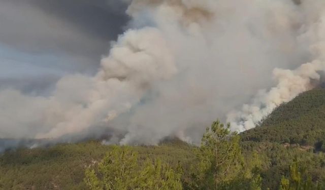 Karabük'te orman yangını 2'nci gününde (2)