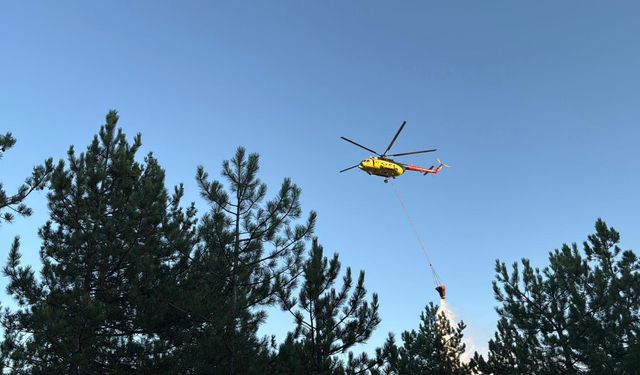 Karabük'te orman yangını