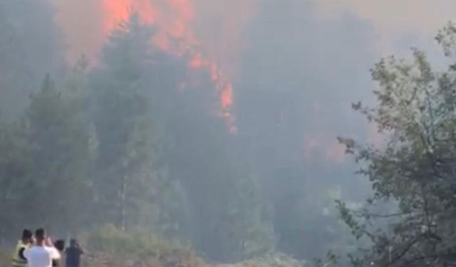 Kastamonu'daki orman yangınına müdahale sürüyor; bölge dronla görüntülendi