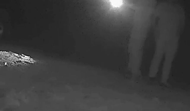 Ormanda bozayı vuran kaçak avcılara toplam 170 bin TL ceza