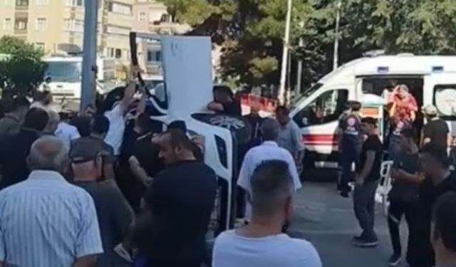 Otomobilin içine giren arı, kazaya yol açtı