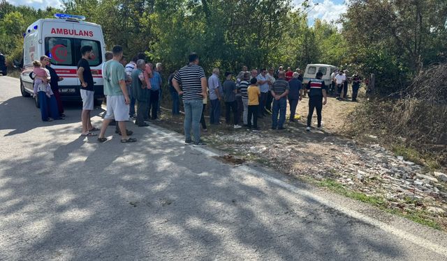 Tarlada yaktığı anız ateşini söndürmeye çalışırken kalp krizi geçirip öldü
