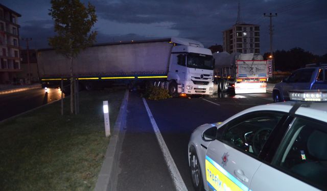 TIR şoförünün kediyi ezmemek için yaptığı manevra kazaya neden oldu: 1 yaralı