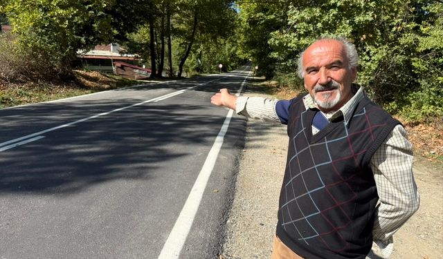 Ağaç tünel yolda görsel şölen