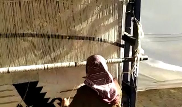Anadolu'nun kilimlerini yeniden dokutturup Avrupa'ya gönderiyor