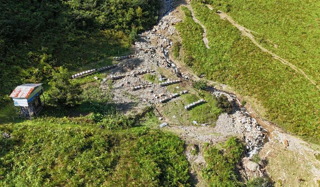 Artvin'de selde arı kovanları da zarar gördü