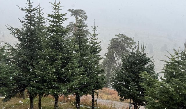 Bolu'nun yüksek kesimlerine kar yağdı