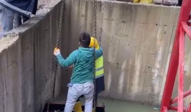 İnşaat alanında su dolu çukura düşen tilkiyi işçiler kurtardı