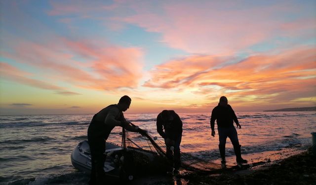 'Müsilajın balıkların üreme sistemine doğrudan etkisi yok'