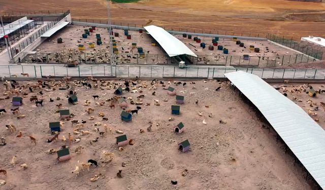 Tokat'ta 'Sahipsiz Hayvanlar Bakım ve Rehabilitasyon Merkezi' inşaatı tamamlandı