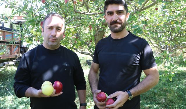 Yüksekovalı üretici, 25 yıllık bahçesinden 200 ton elma hasadı yaptı