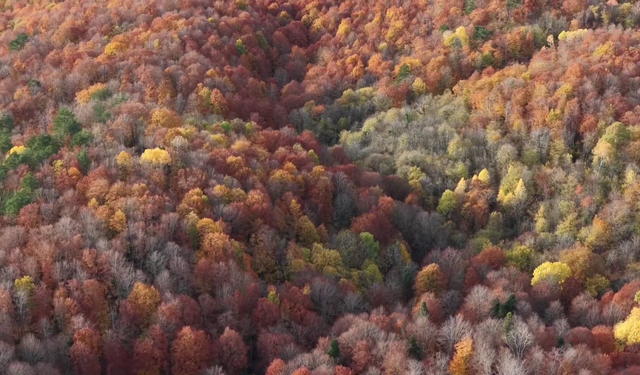 Bolu Mengen'de sonbahar güzelliği