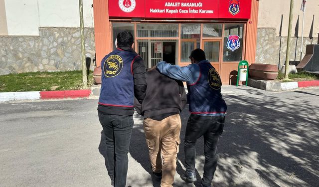Hakkari'de firari hükümlü jandarma operasyonu ile yakalandı