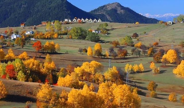 'Sakin şehir' Şavşat'ta sonbaharda renk cümbüşü / Video eklendi