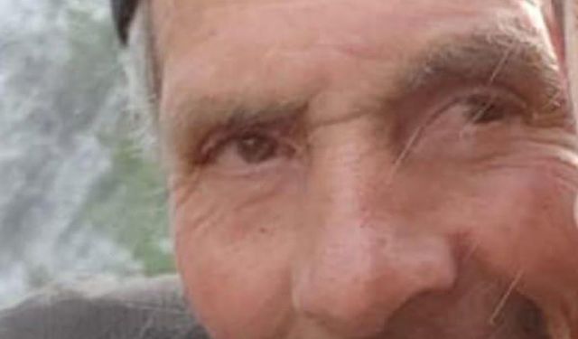 Yoğun sisin etkili olduğu Erzurum'da çoban koyun sürüsüyle kayboldu (2)