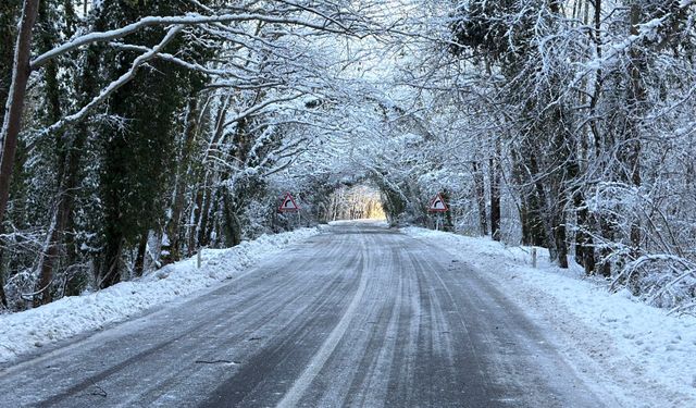 'Ağaç tünel yol'da beyaz güzellik