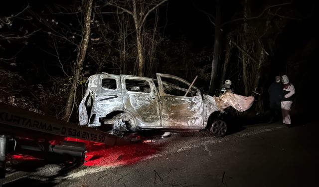 Ağaca çarpan hafif ticari aracın sürücüsü yanarak öldü