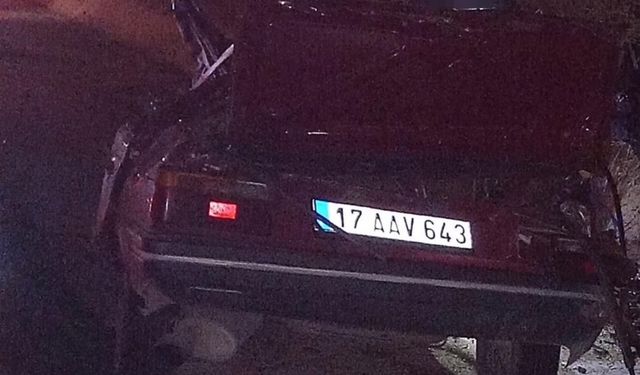 Ağaca çarpan otomobilin sürücüsü öldü