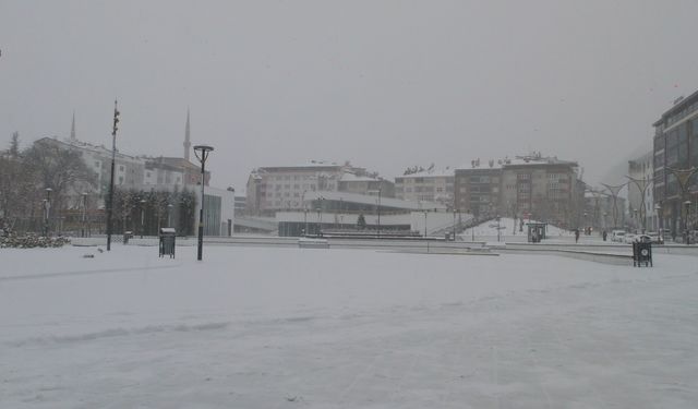 Bingöl'de kar yağışı; 100 köy yolu ulaşıma kapandı (2)
