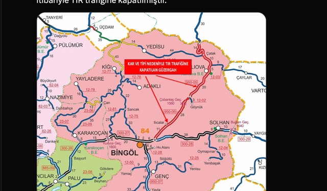 Bingöl'de kar yağışı; 100 köy yolu ulaşıma kapandı (3)