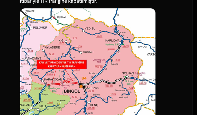 Bingöl'de kar yağışı; 100 köy yolu ulaşıma kapandı (4)