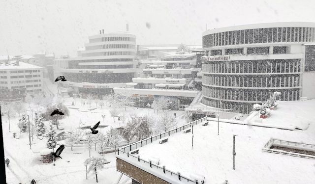 Bolu'da kar kalınlığı yarım metreye ulaştı