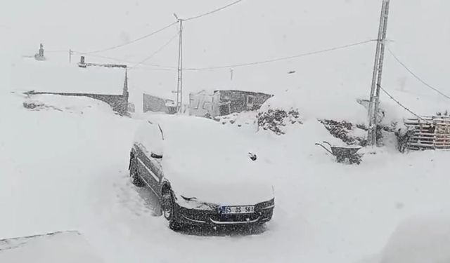 Erzurum, Ardahan, Kars ve Ağrı beyaza büründü (2)