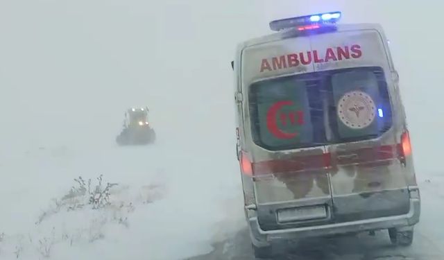 Sivas'ta kar yağışı (2)