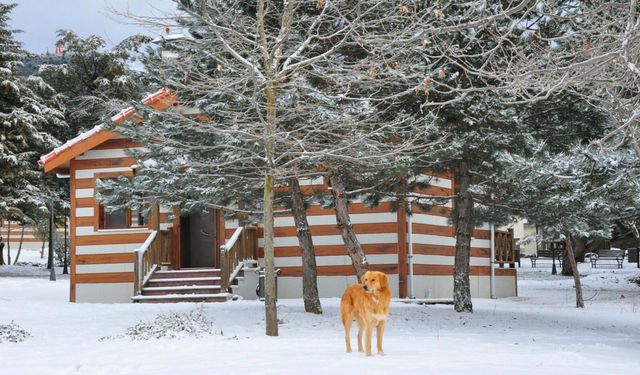 Spil Dağı, beyaz örtüyle kaplandı