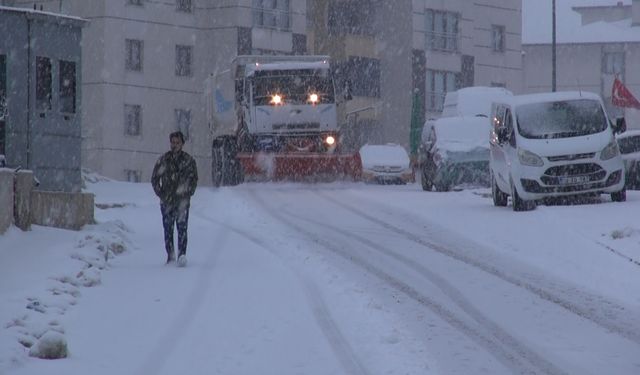Yüksekova'da kar yağışı etkili oldu