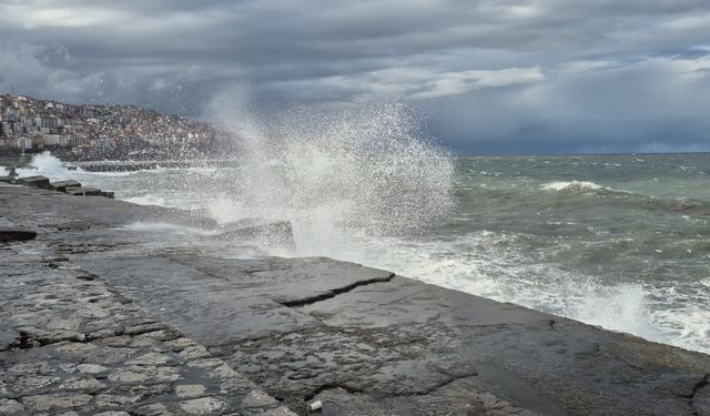 Zonguldak'ta kuvvetli rüzgar; 90 yaşındaki çınar ağacı devrildi