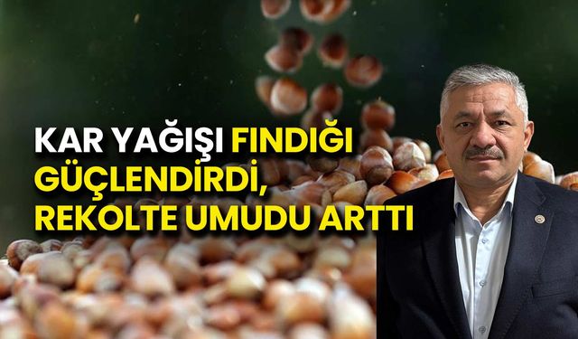 Kar Yağışı Fındığı Güçlendirdi, Rekolte Umudu Arttı