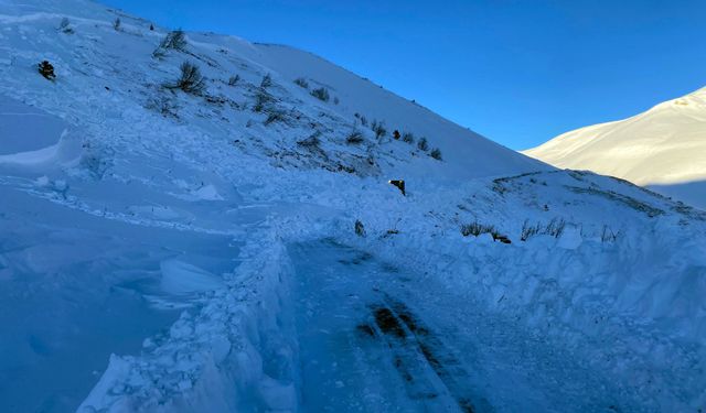 Artvin'de çığ altında kalan çobanı arama çalışmalarına ara verildi
