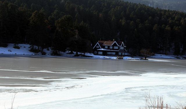 Gölcük Tabiat Parkı'ndaki göl buz tuttu