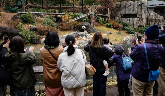 Japonya, iki dev pandayı Çin'e geri yolluyor