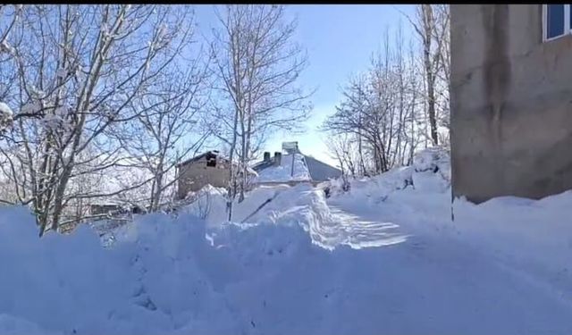 Kar kalınlığının 2 metreyi aştığı köyde evlerin çatılarındaki karlar temizlendi