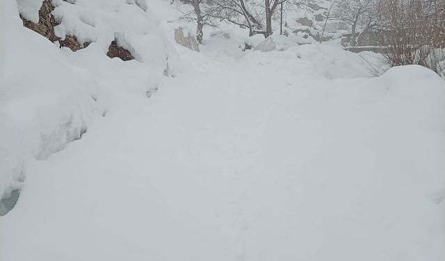 Kar kalınlığının 2 metreyi bulduğu mezrada evi ile ahırı arasına tünel açtı
