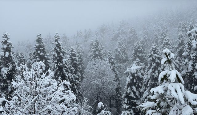 Karabük'ün yüksek kesimlerinde kar yağışı etkili oldu